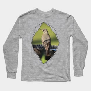 Robin on Birdbath In Tear Long Sleeve T-Shirt